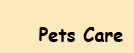 Pets Care