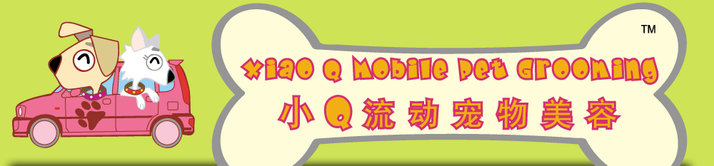 XiaoQ